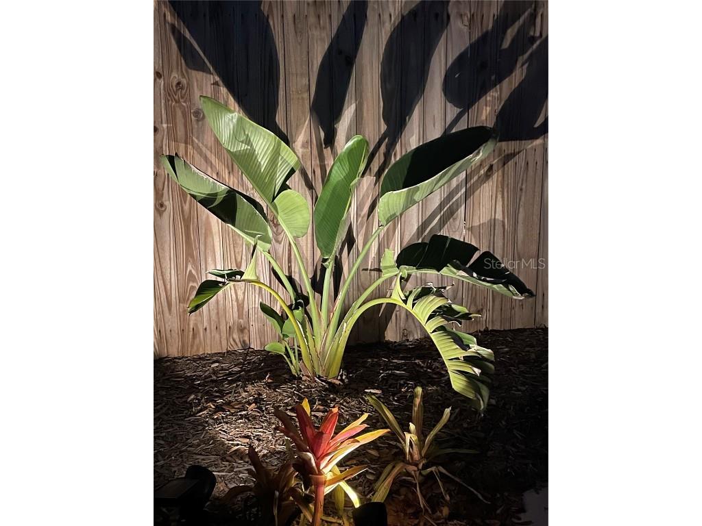 828 S Tuttle Avenue #B Sarasota FL 34237 A4671898 image20