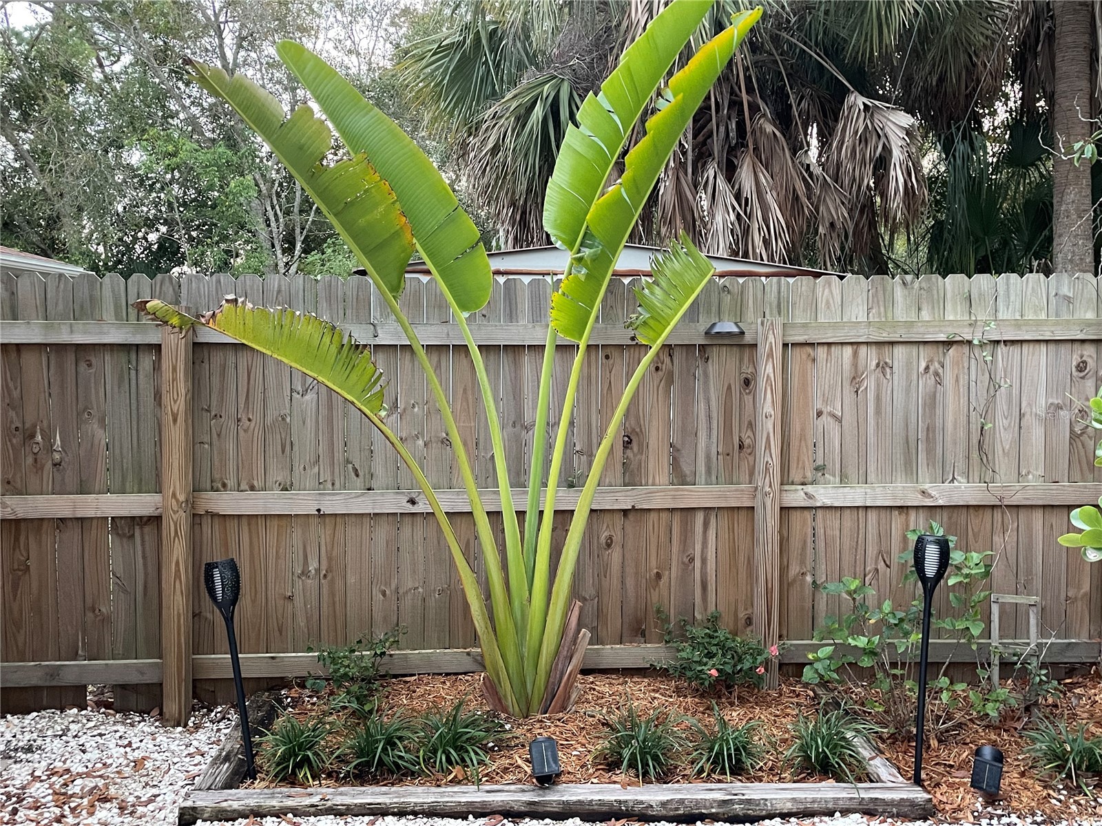 828 S Tuttle Avenue #B Sarasota FL 34237 A4689379 image29
