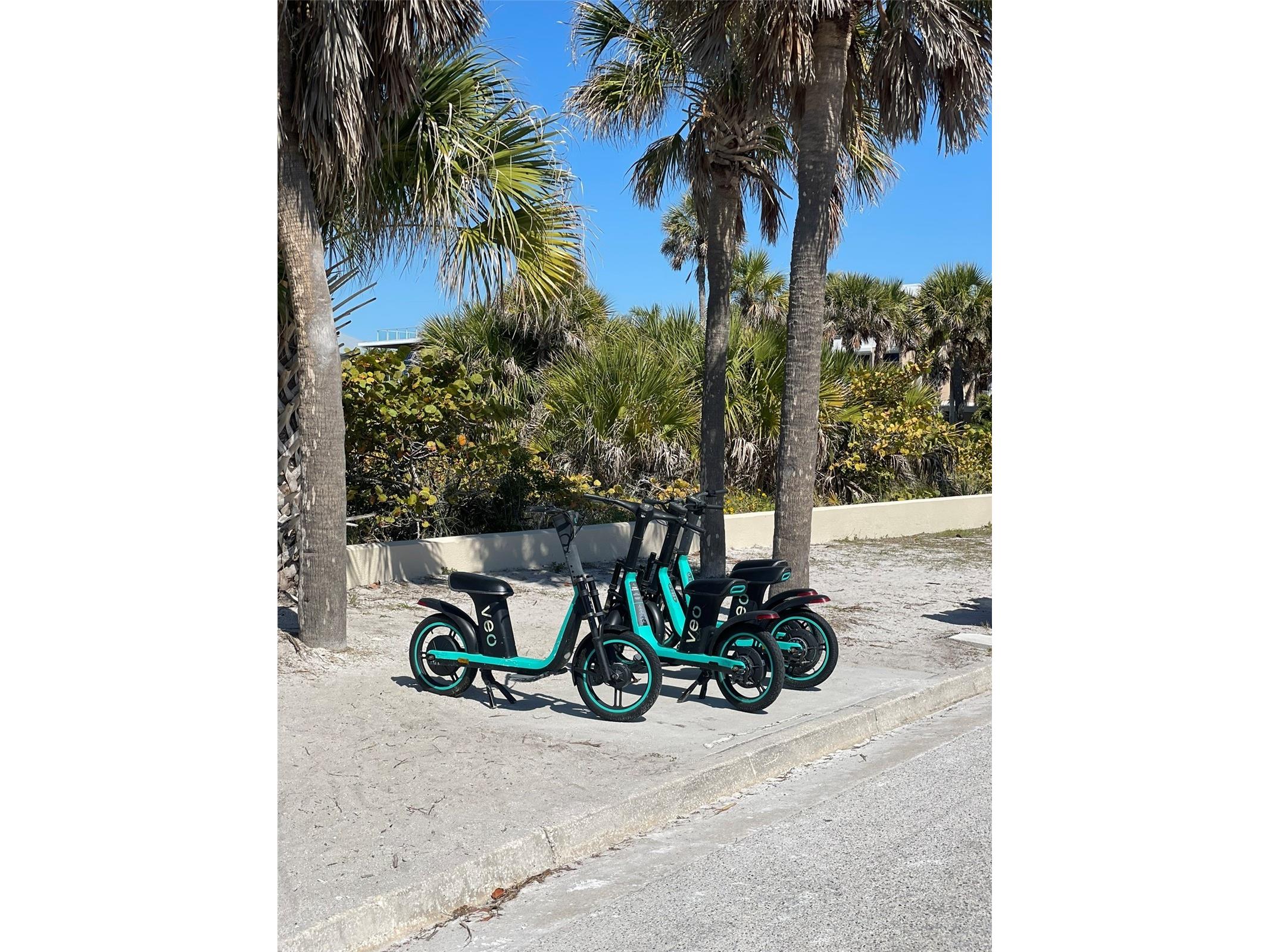 828 S Tuttle Avenue #B Sarasota FL 34237 A4689379 image45