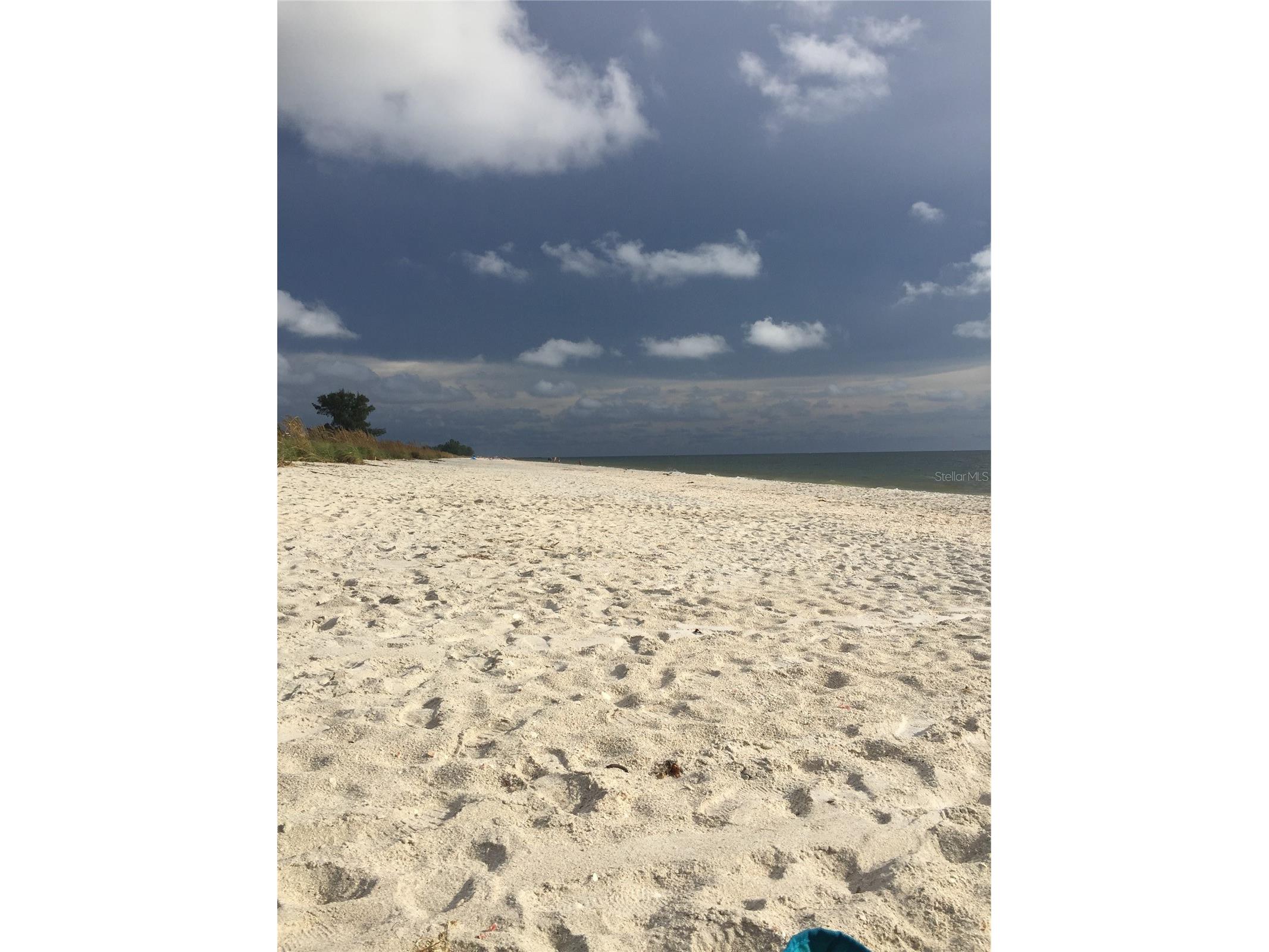 828 S Tuttle Avenue #B Sarasota FL 34237 A4689379 image52