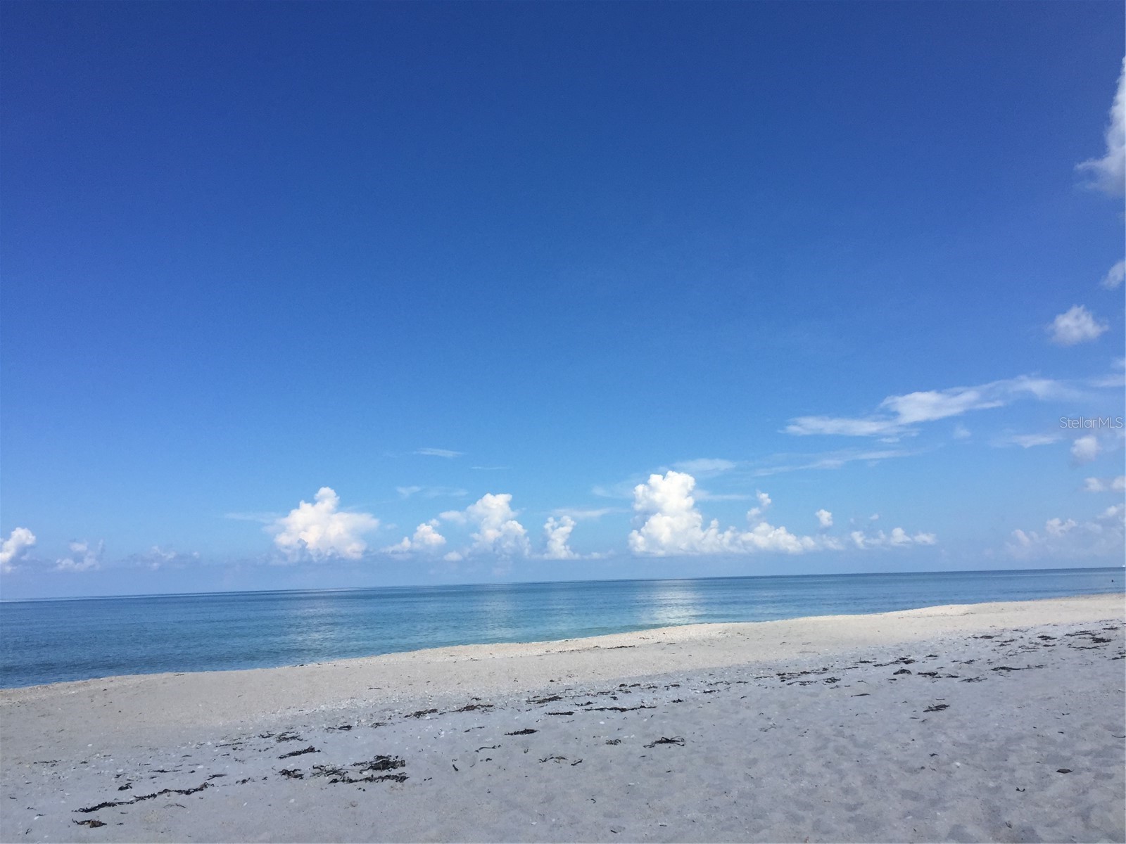 828 S Tuttle Avenue #B Sarasota FL 34237 A4689379 image54