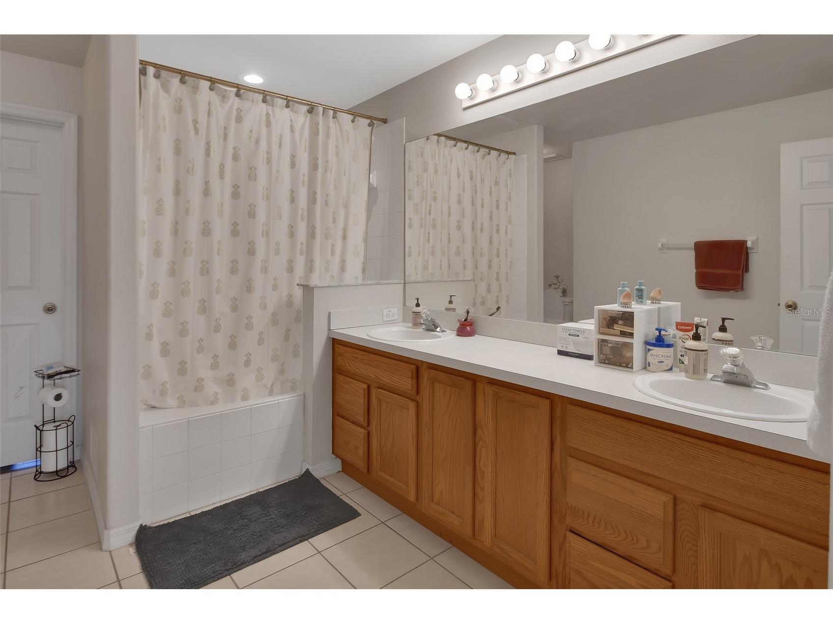 828 White Birch Court Orange City FL 32763 V4947268 image18