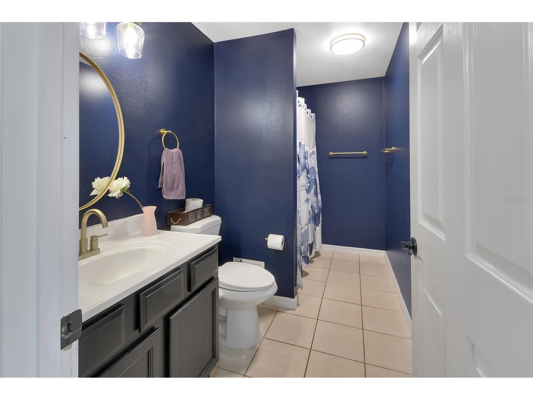 828 White Birch Court Orange City FL 32763 V4947268 image22