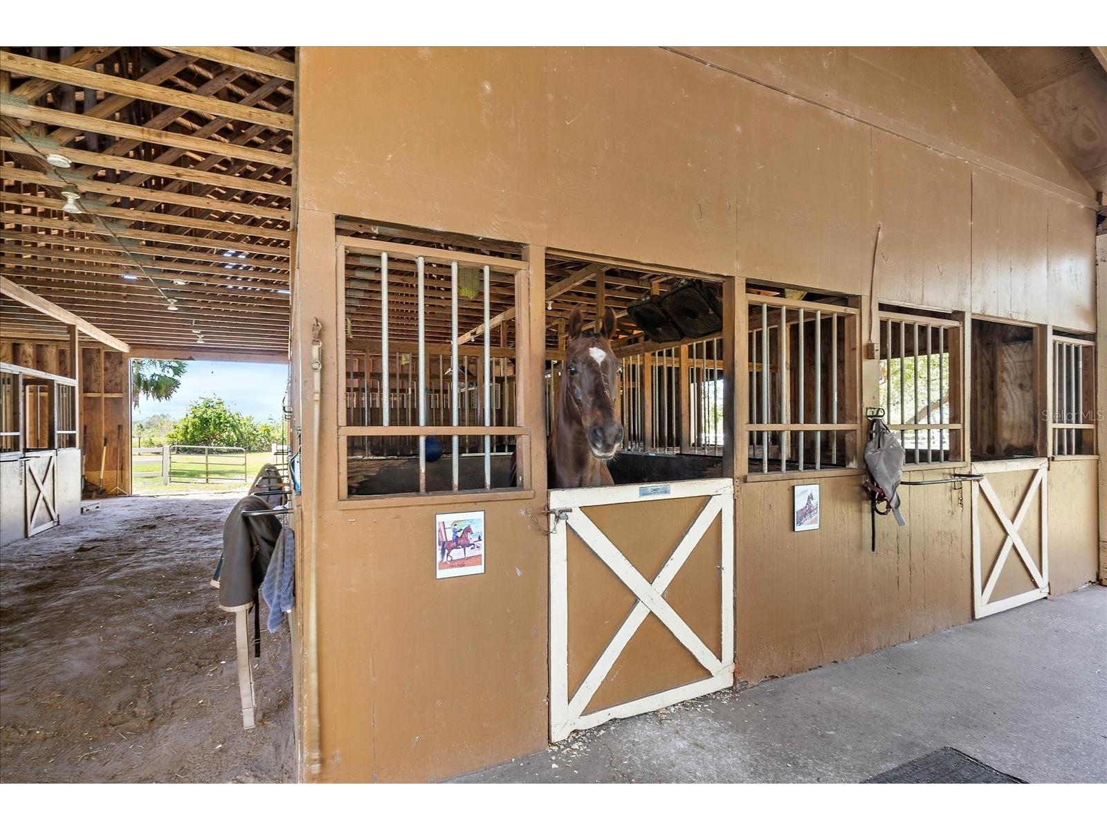 8280 Ibis Street Sarasota FL 34241 A4647903 image93