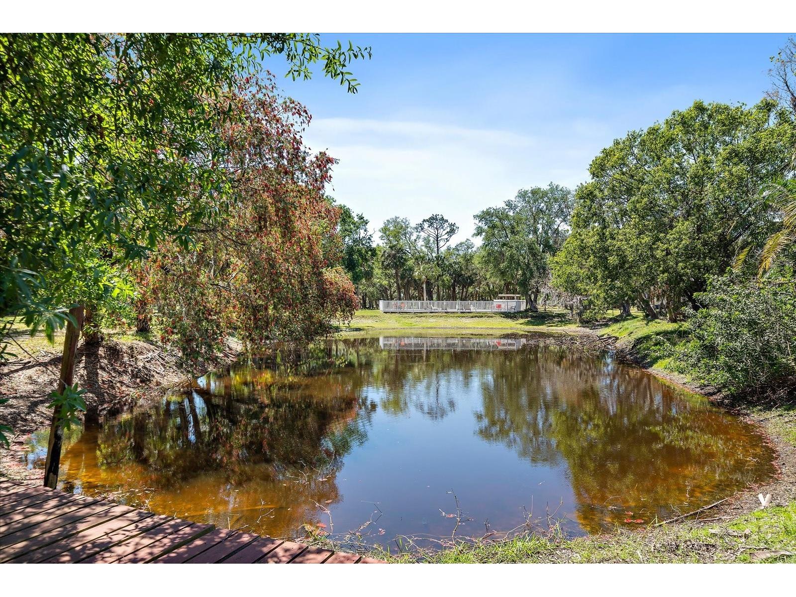 8280 Ibis Street Sarasota FL 34241 A4647903 image96