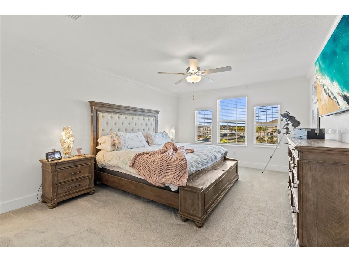 8280 Rolling Tides Drive New Port Richey FL 34655 TB8458230 image19