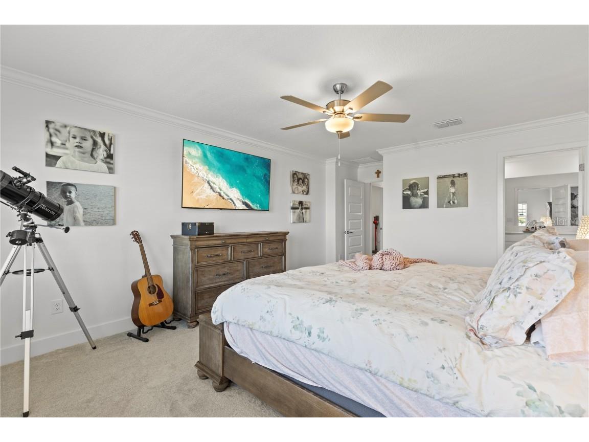 8280 Rolling Tides Drive New Port Richey FL 34655 TB8458230 image20