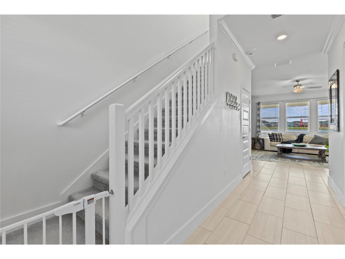 8280 Rolling Tides Drive New Port Richey FL 34655 TB8458230 image6