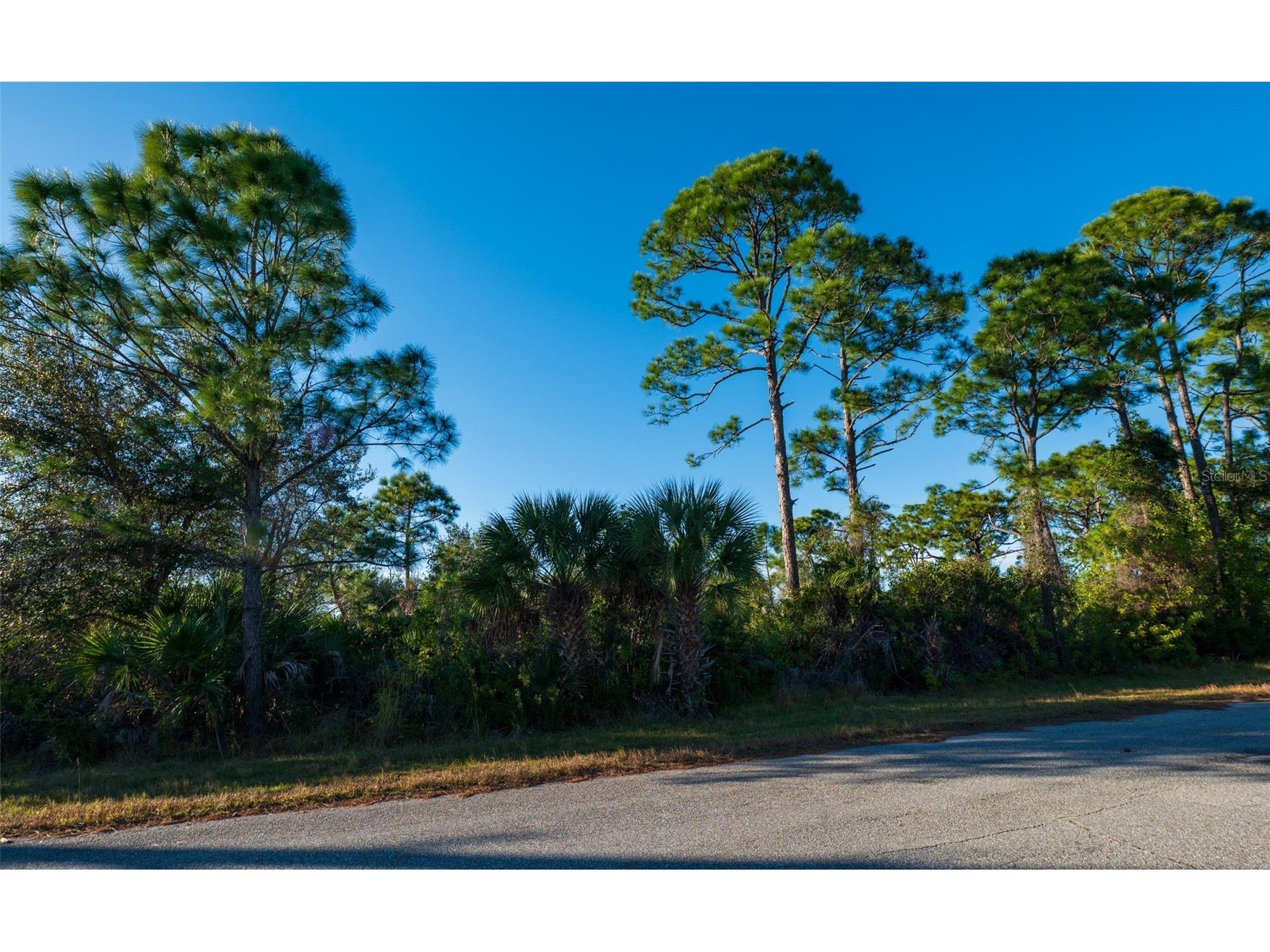 8281 Dimstead St. Port Charlotte FL 33981 C7520707 image2