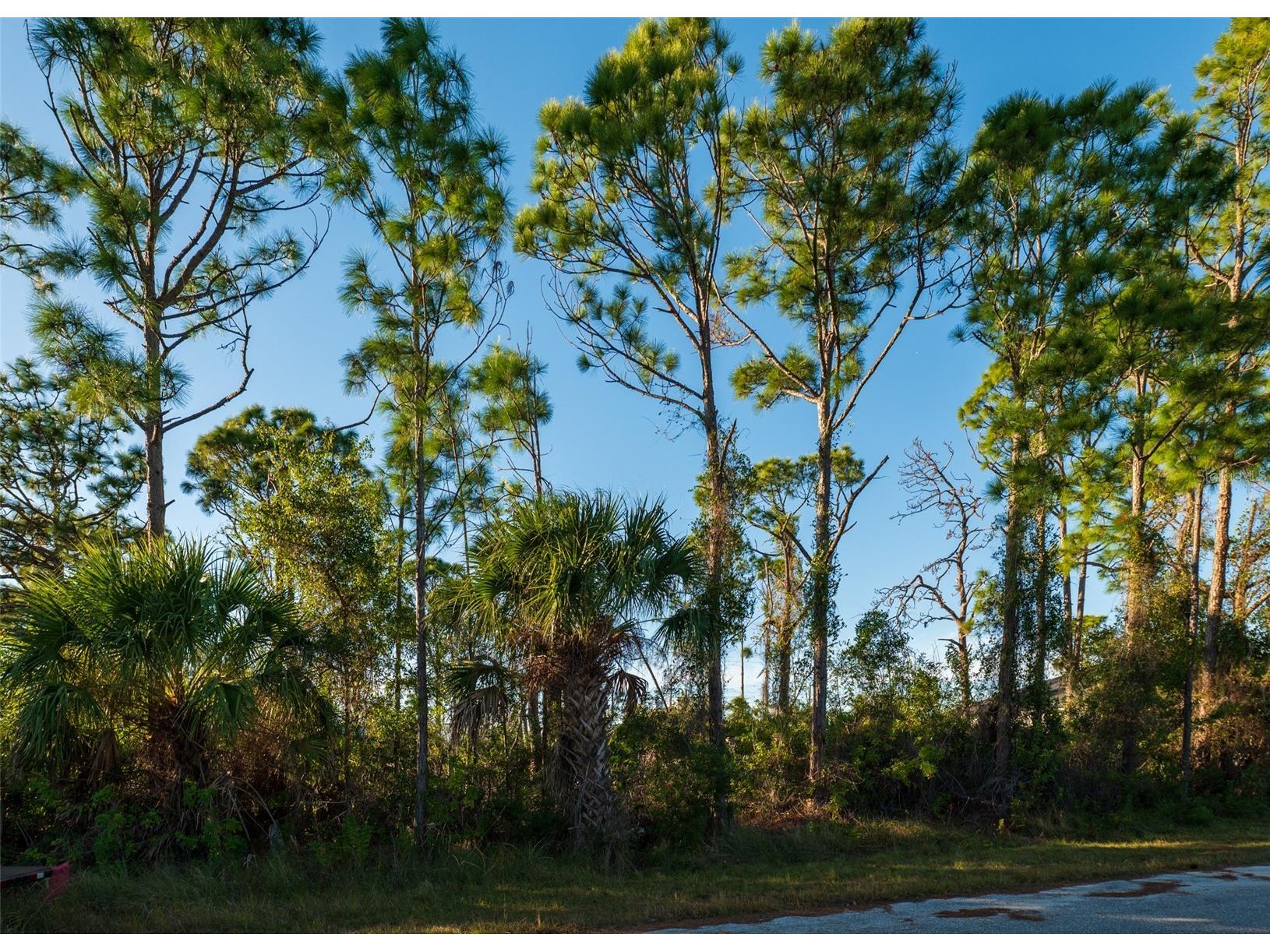 8281 Dimstead St. Port Charlotte FL 33981 C7520707 image3