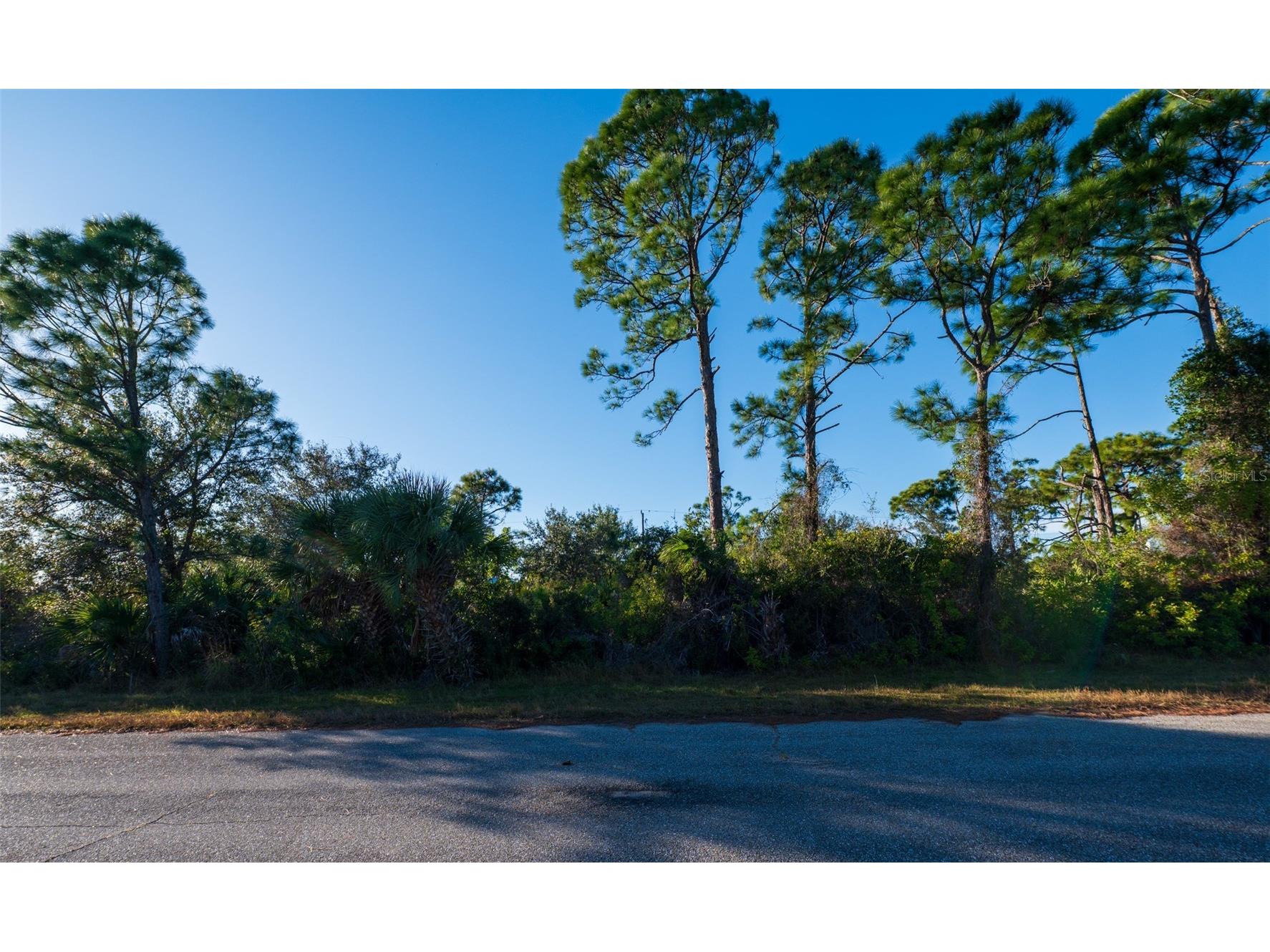 8281 Dimstead St. Port Charlotte FL 33981 C7520707 image4