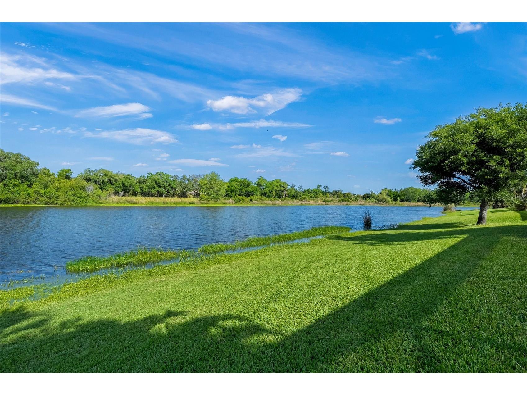 8282 Barton Farms Boulevard Sarasota FL 34240 A4689205 image53