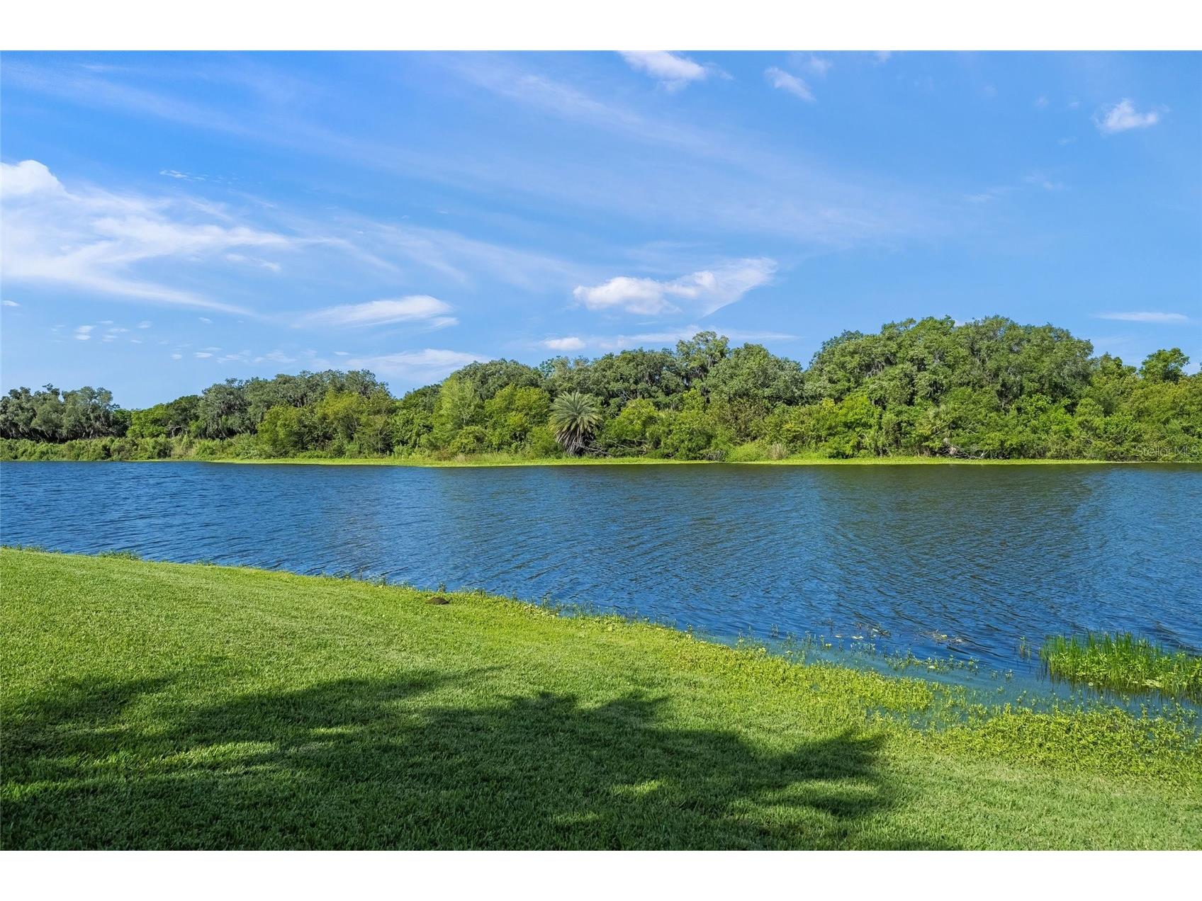 8282 Barton Farms Boulevard Sarasota FL 34240 A4689205 image54