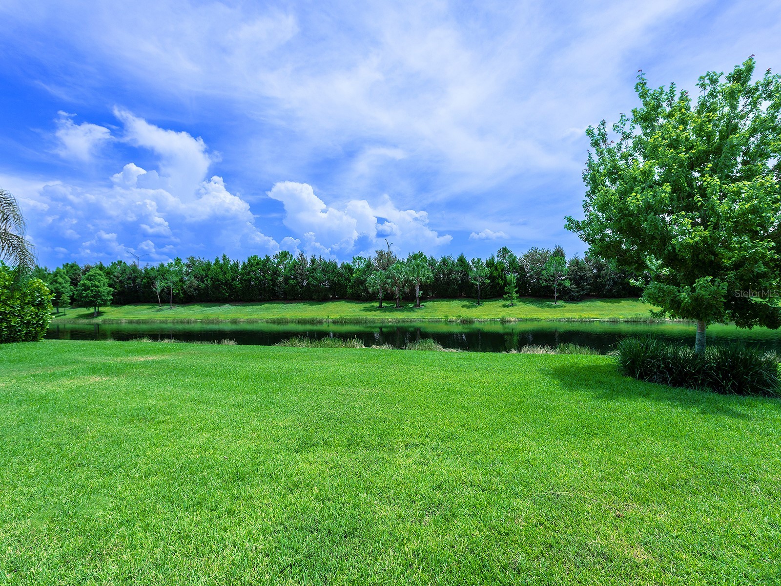 8282 Grande Shores Drive Sarasota FL 34240 A4697772 image49