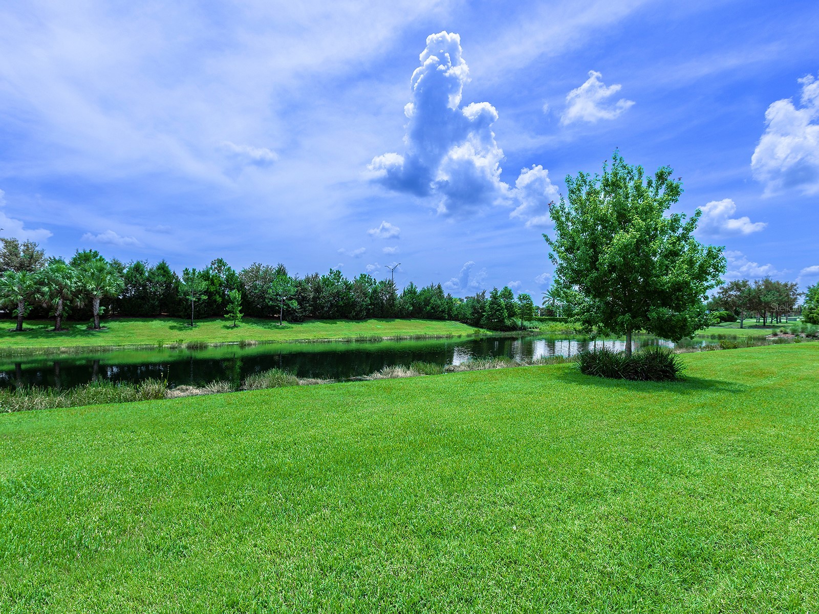 8282 Grande Shores Drive Sarasota FL 34240 A4697772 image51