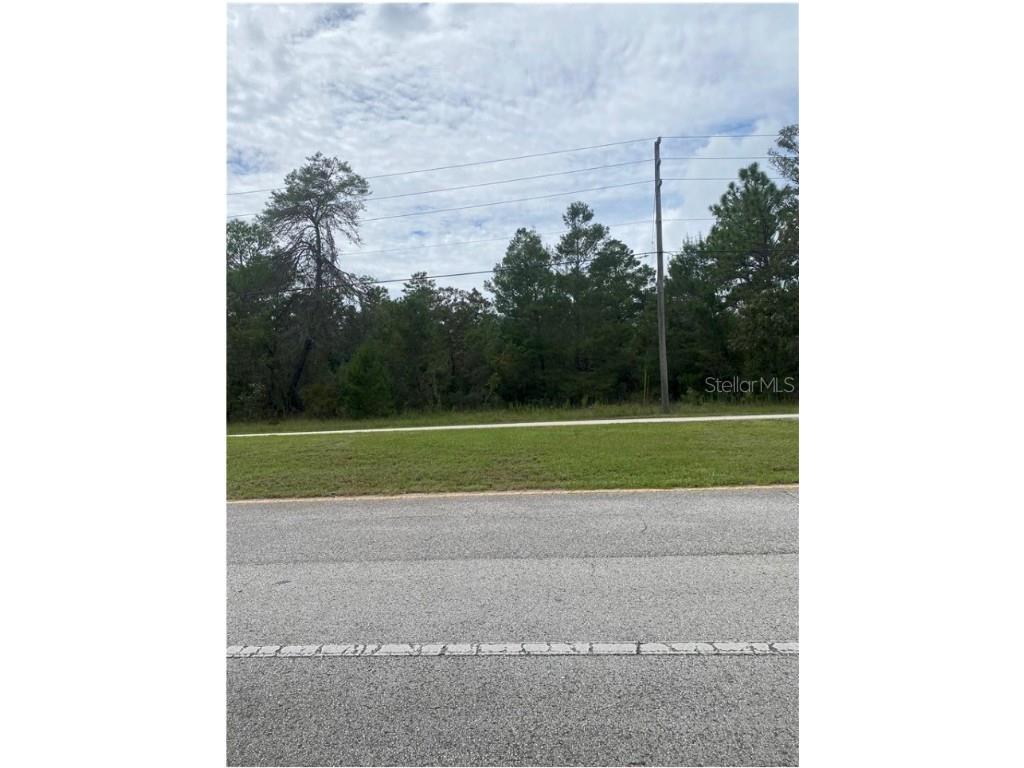 8282 N Citrus Springs Boulevard Citrus Springs FL 34433 G5060811 image1