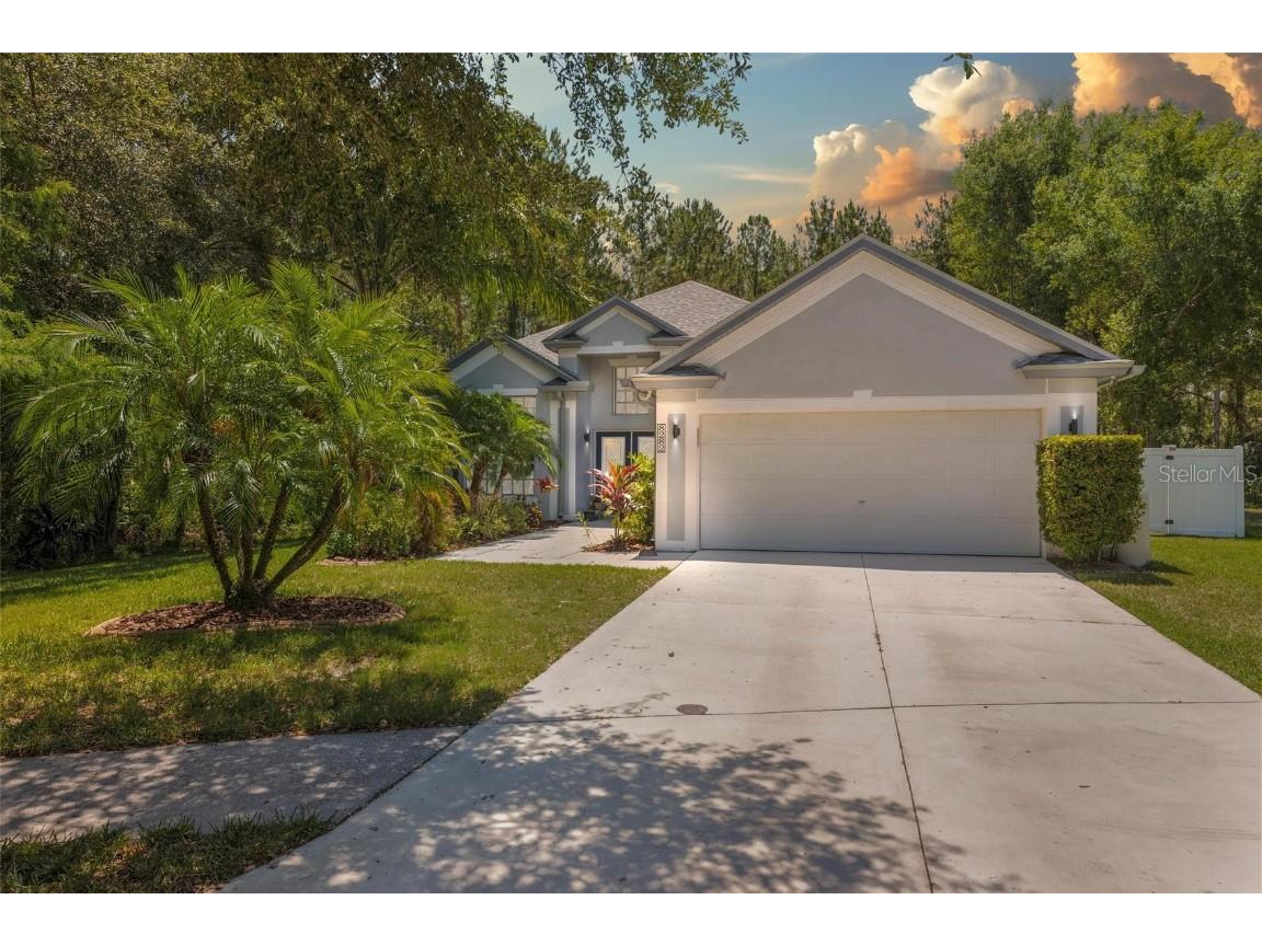 8282 Swann Hollow Drive Tampa FL 33647 T3446853 image1