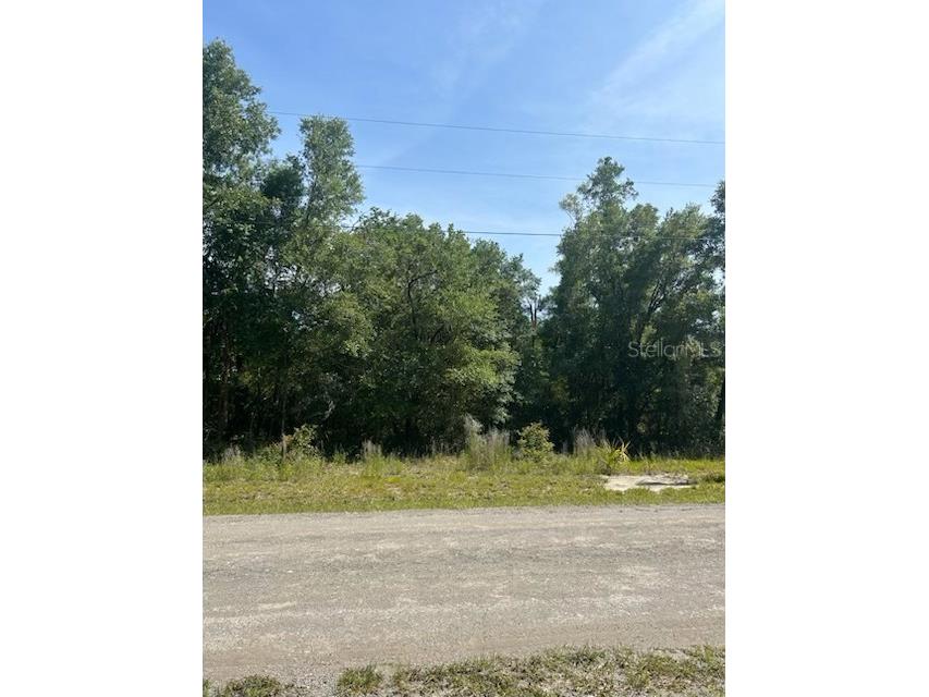 8284 W Catrina Lane Crystal River FL 34428 W7875685 image1