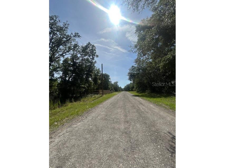 8284 W Catrina Lane Crystal River FL 34428 W7875685 image3