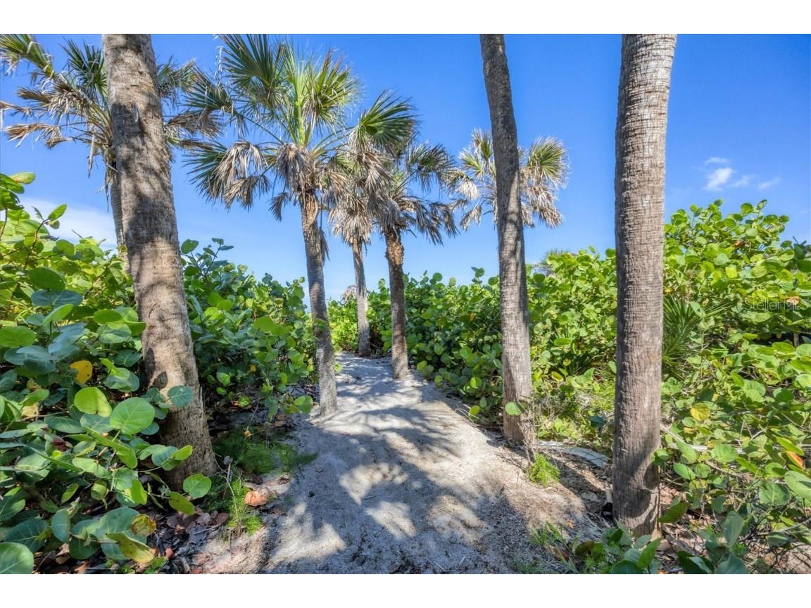 8285 Manasota Key Road Englewood FL 34223 - LEMON BAY D6143418 image84