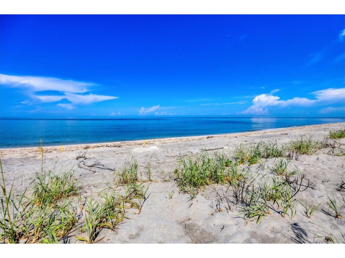 8285 Manasota Key Road Englewood FL 34223 - LEMON BAY D6143418 image86