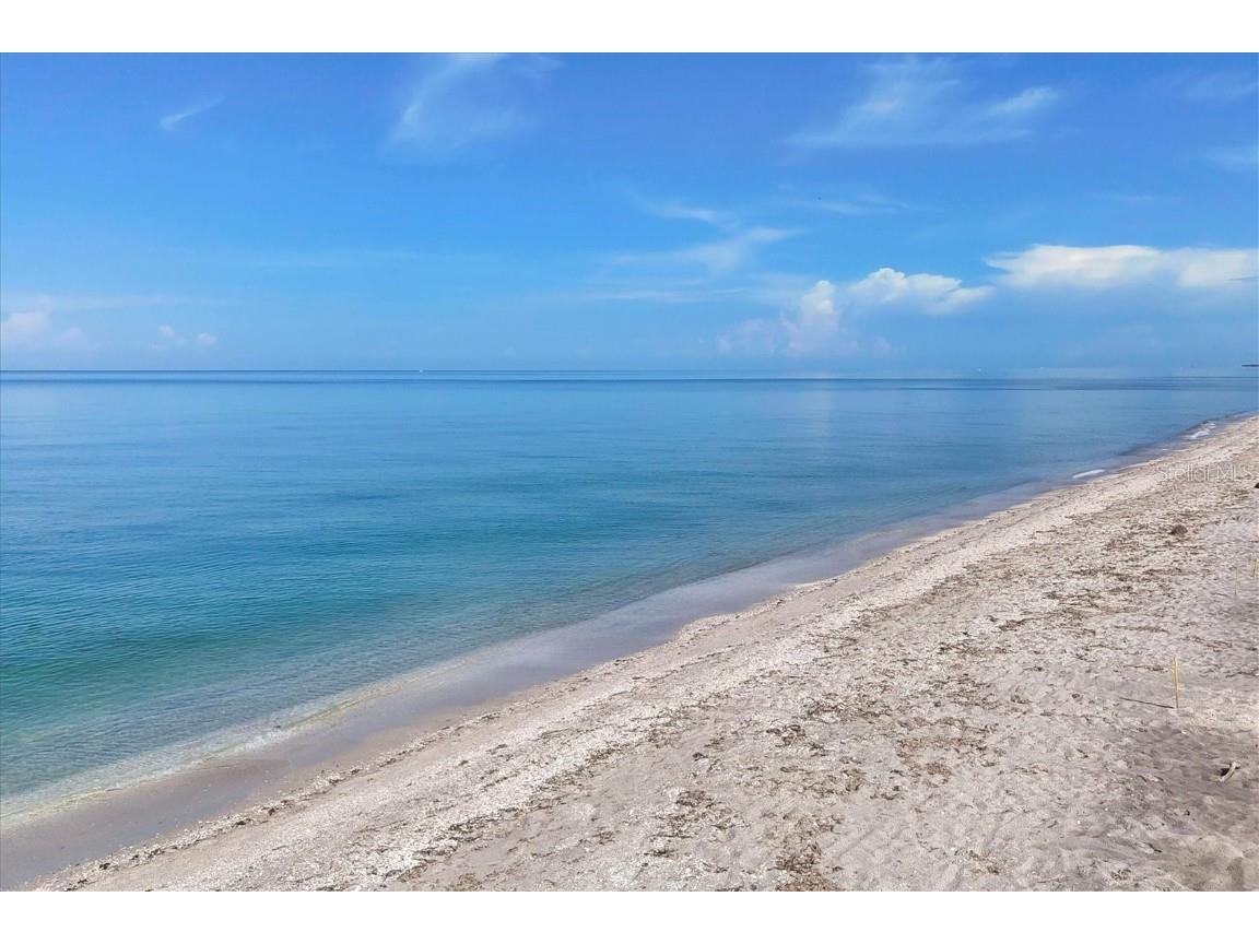 8285 Manasota Key Road Englewood FL 34223 - LEMON BAY D6143418 image87