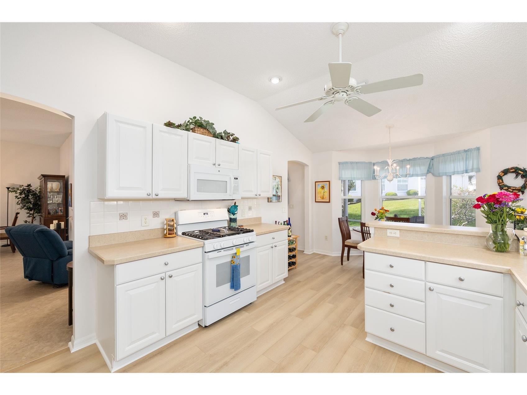 8288 SE 176th Lawson Loop The Villages FL 32162 G5110175 image19