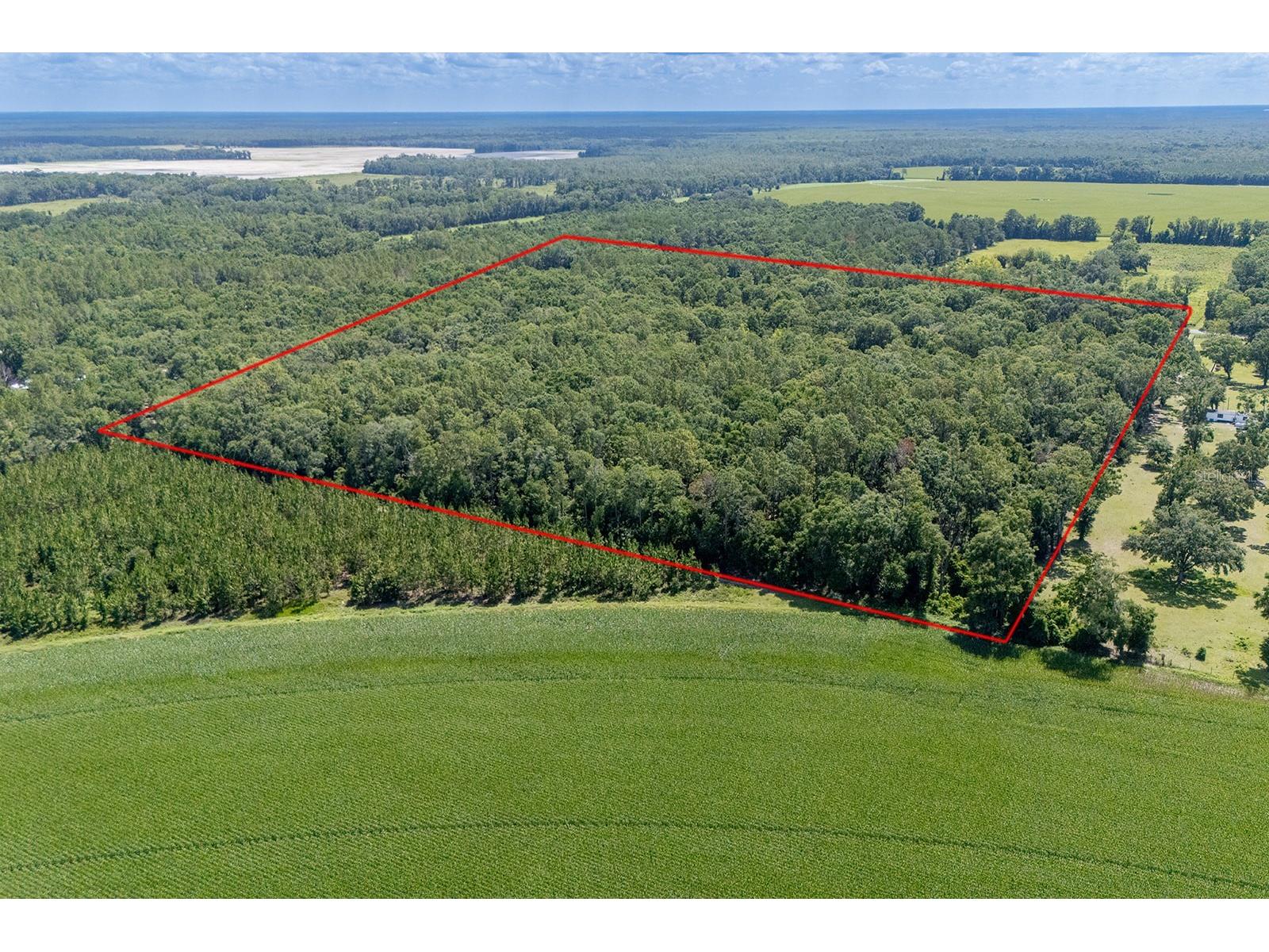 8289 NE Highway 349 Old Town FL 32680 GC532270 image1