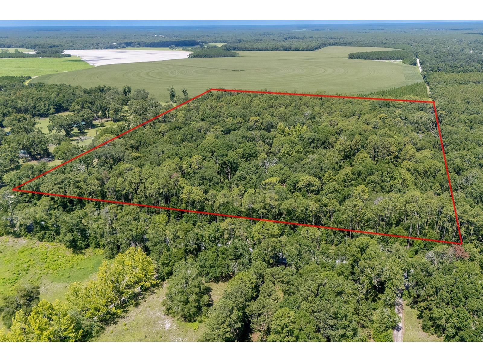 8289 NE Highway 349 Old Town FL 32680 GC532270 image2