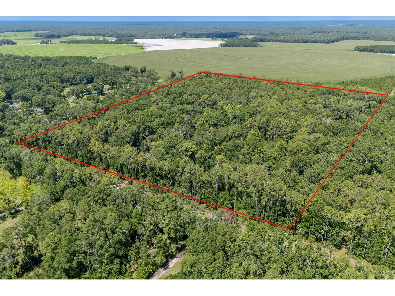 8289 NE Highway 349 Old Town FL 32680 GC532270 image3