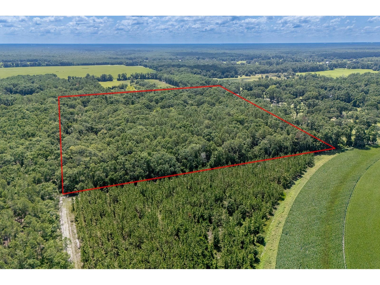 8289 NE Highway 349 Old Town FL 32680 GC532270 image4