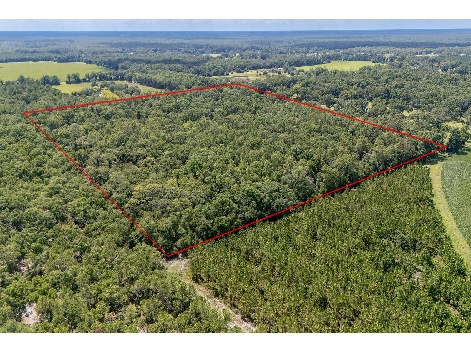 8289 NE Highway 349 Old Town FL 32680 GC532270 image5