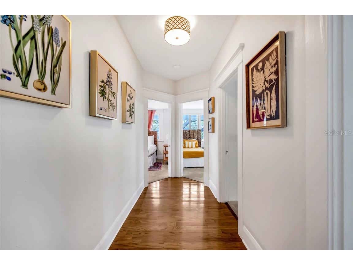 829 Bayshore Boulevard Tampa FL 33606 A4649429 image18