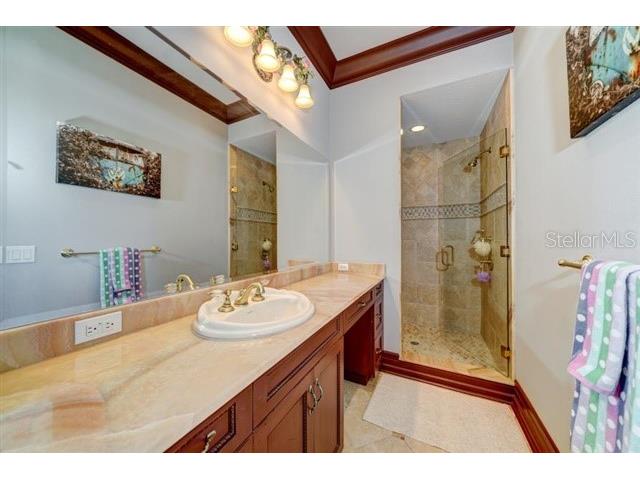 829 Bruce Avenue Clearwater Beach FL 33767 TB8441451 image39