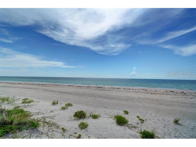 829 Bruce Avenue Clearwater Beach FL 33767 TB8441451 image67