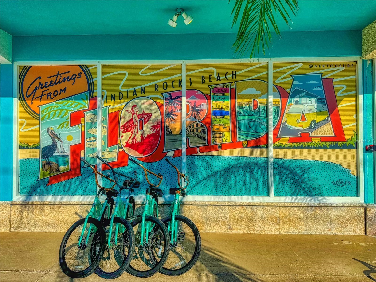 829 E Gulf Boulevard #107 Indian Rocks Beach FL 33785 TB8463648 image39