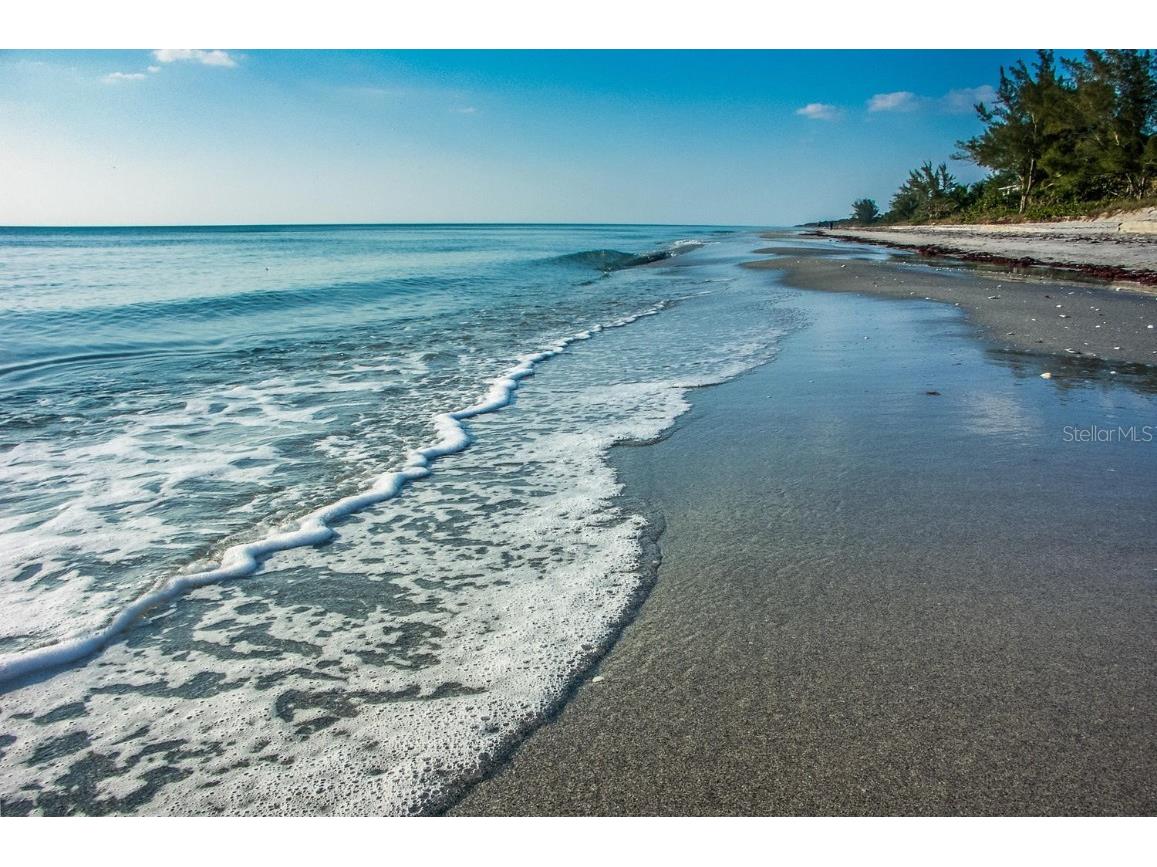 829 Harbor Drive S Venice FL 34285 N6141051 image100