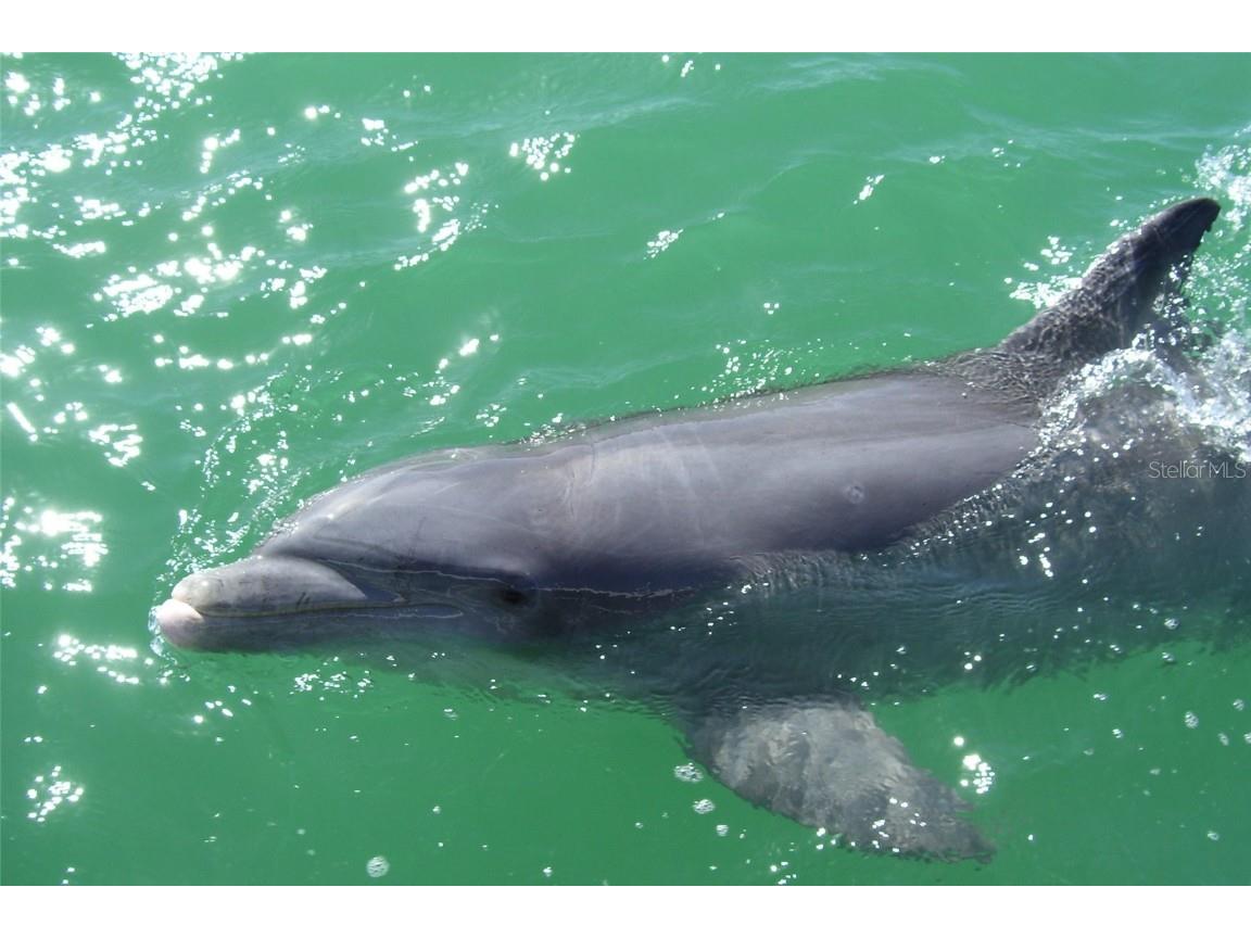 829 Harbor Drive S Venice FL 34285 N6141051 image92