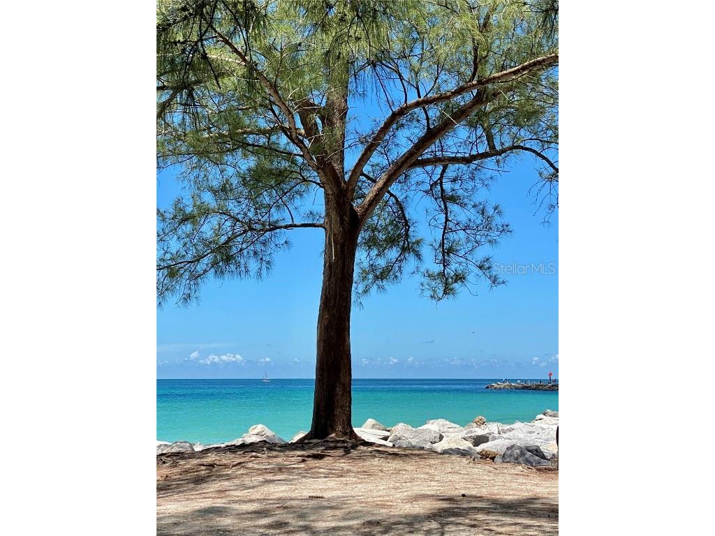 829 Harbor Drive S Venice FL 34285 N6141051 image98