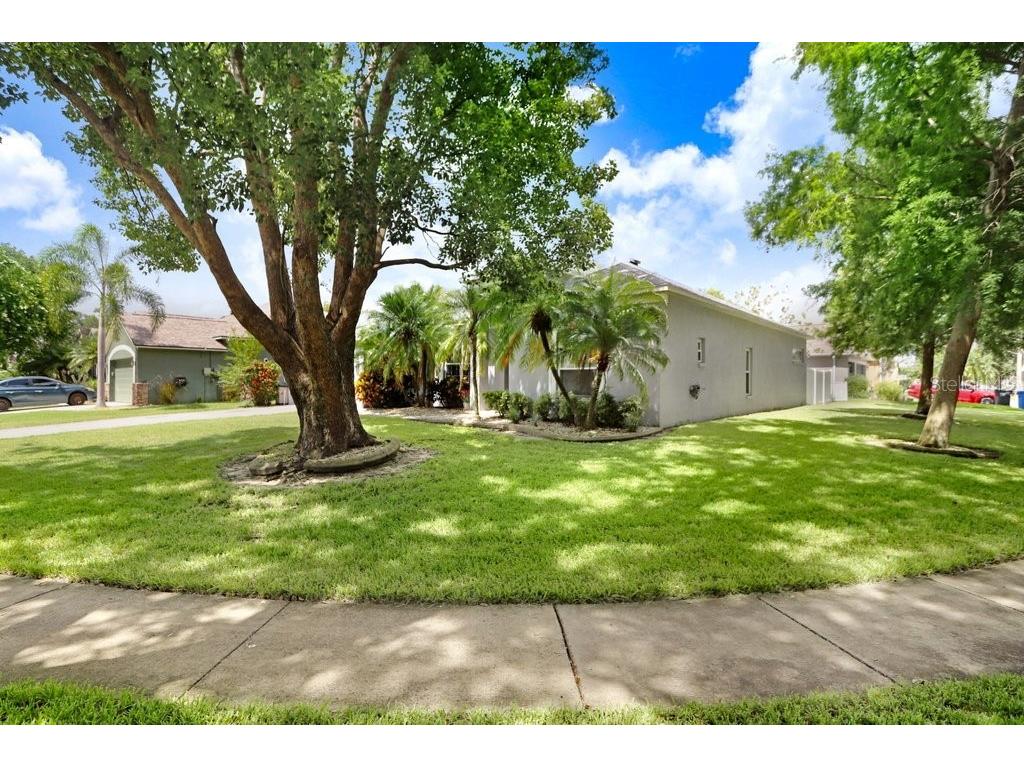 829 Innergary Place Valrico FL 33594 TB8437539 image25