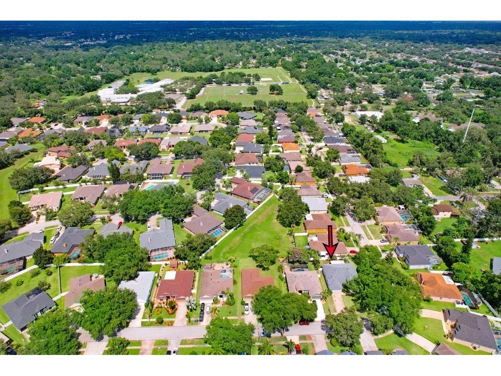 829 Innergary Place Valrico FL 33594 TB8437539 image26