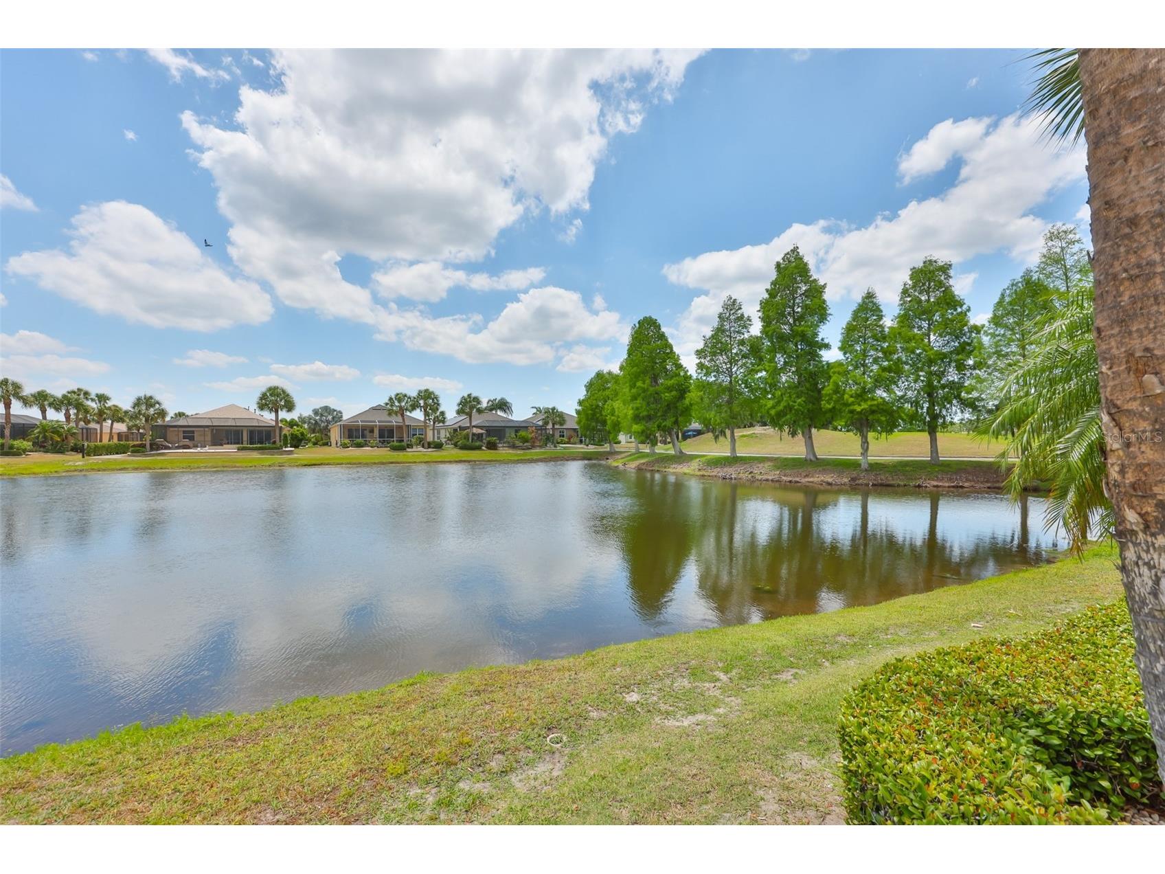 829 Regal Manor Way Sun City Center FL 33573 TB8504771 image41