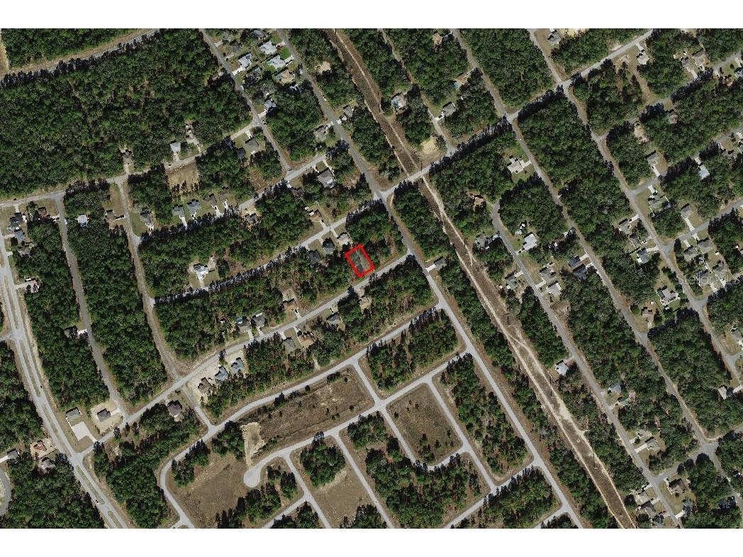 829 W Smallman Place Citrus Springs FL 34434 A4686207 image4