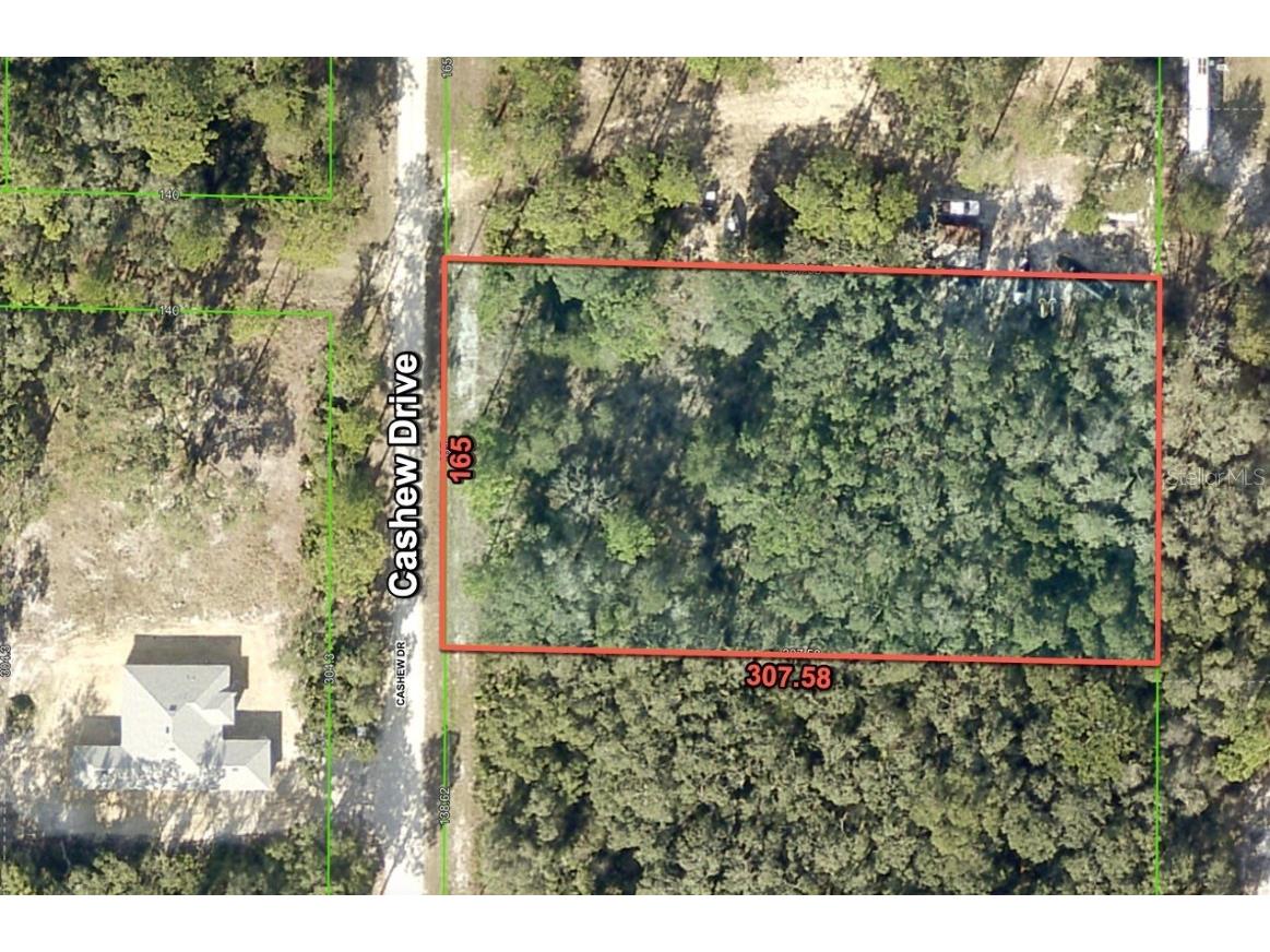 8290 Cashew Drive Webster FL 33597 O6290239 image1