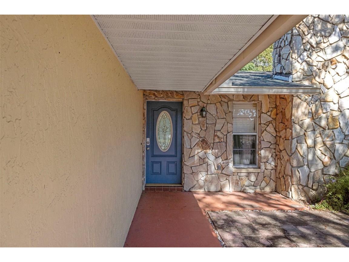 8291 Arab Lane Spring Hill FL 34608 W7880827 image4