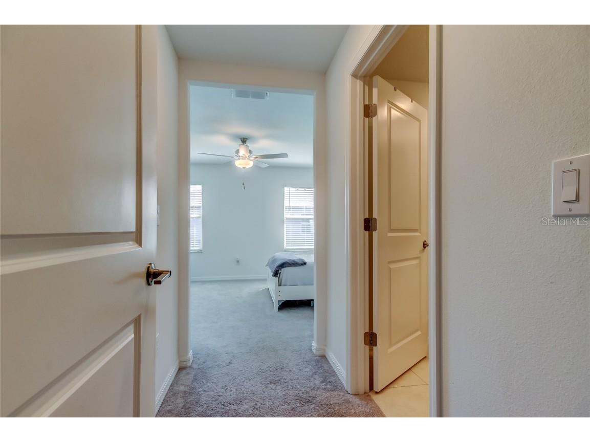 8294 Corner Pine Way New Port Richey FL 34655 TB8356197 image39