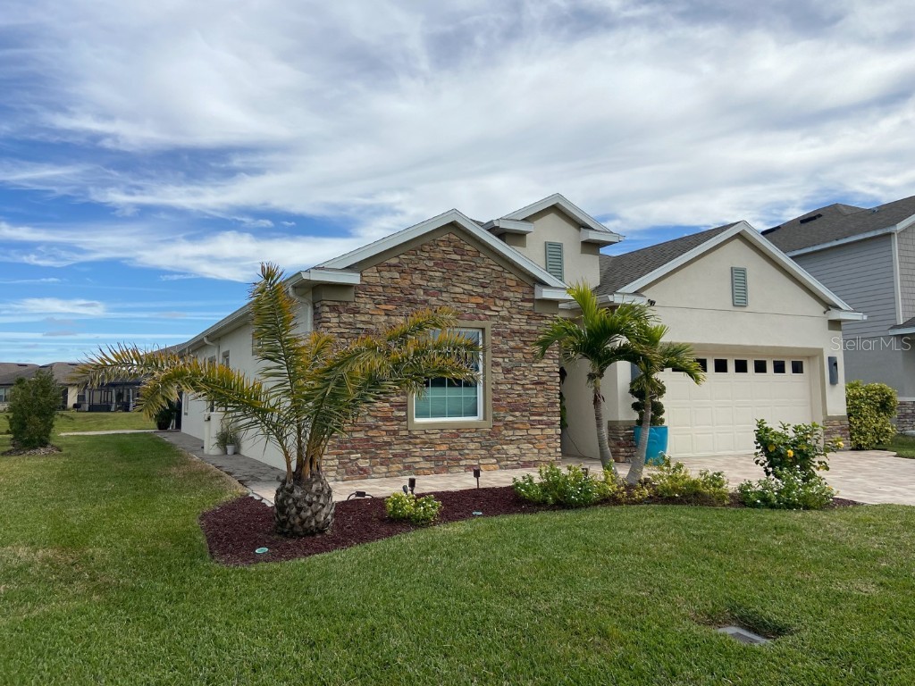 8295 Olive Brook Drive Wesley Chapel FL 33545 U8249320 image1