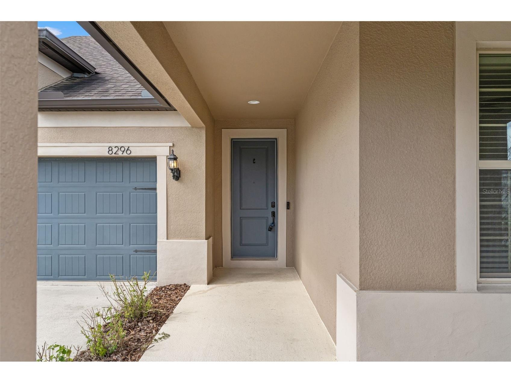 8296 Olive Brook Drive Wesley Chapel FL 33545 TB8481437 image12