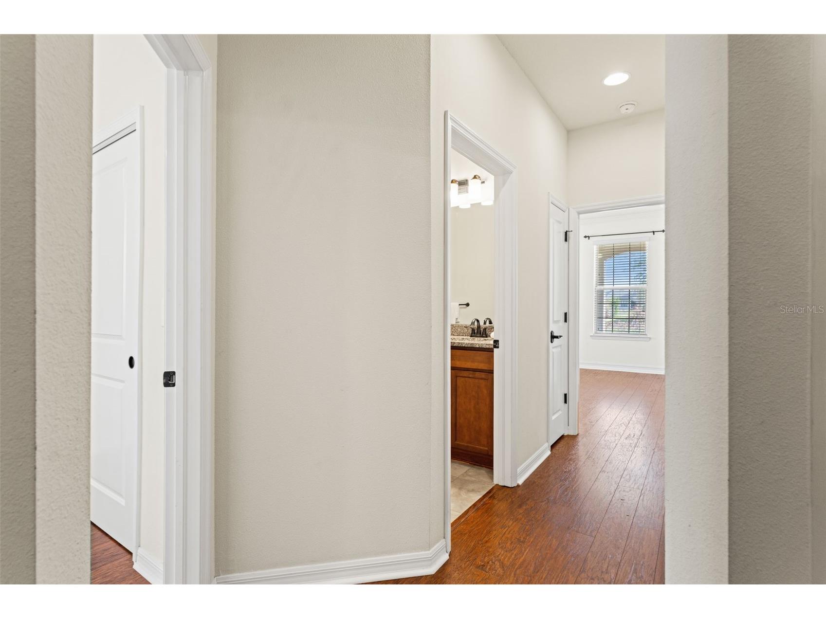 8296 Olive Brook Drive Wesley Chapel FL 33545 TB8481437 image21