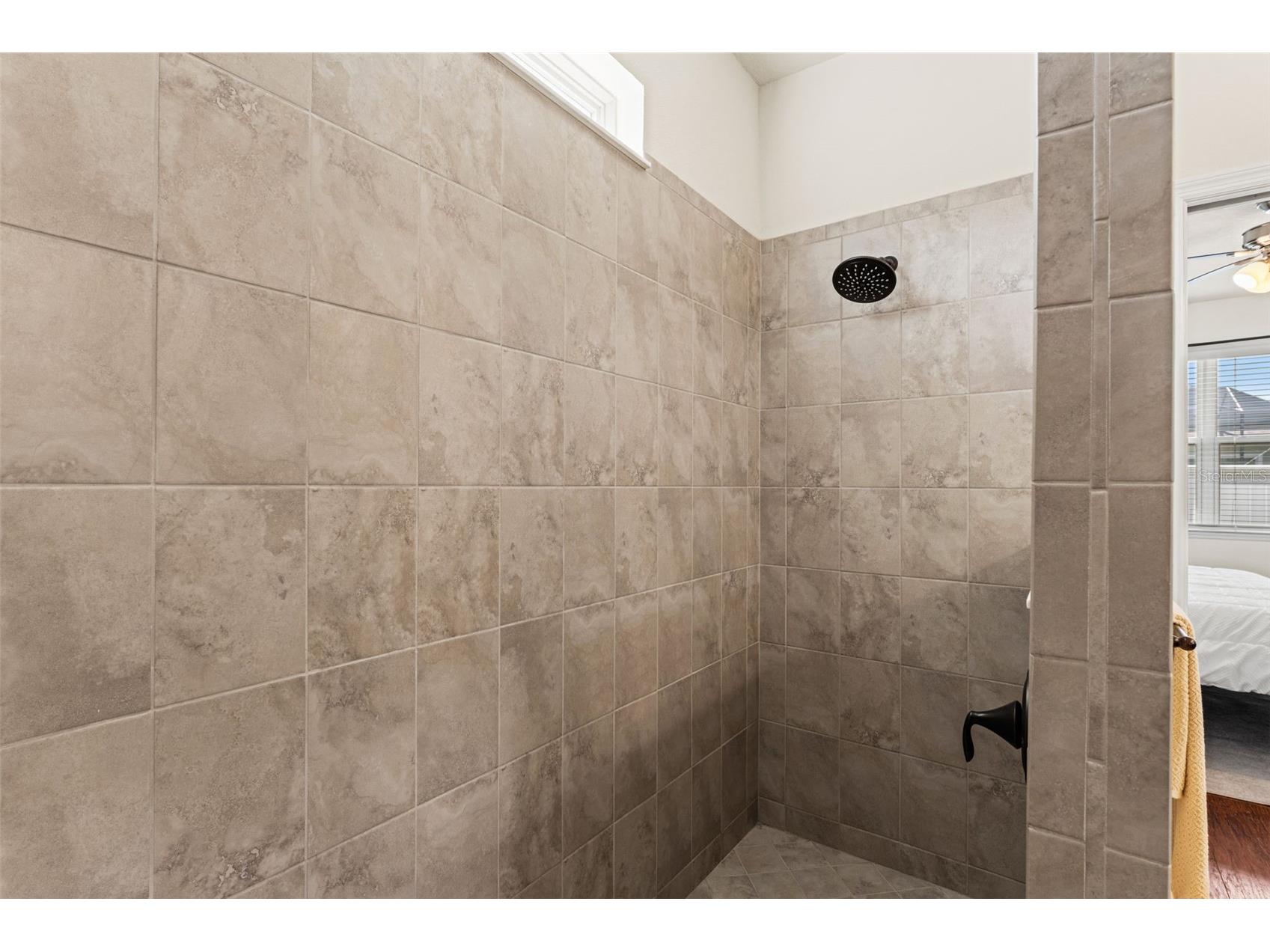 8296 Olive Brook Drive Wesley Chapel FL 33545 TB8481437 image35